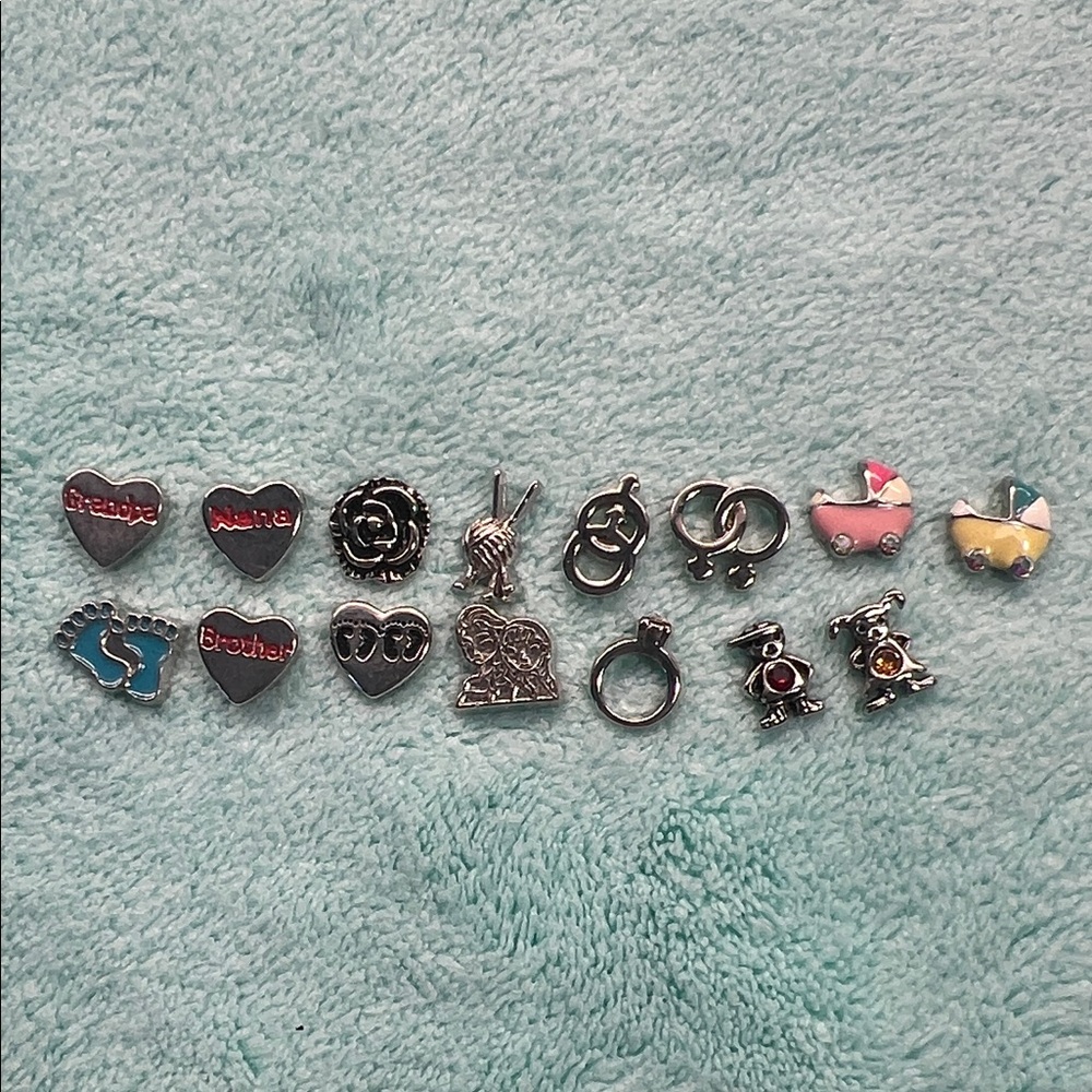 Floating Locket Charms : Family theme